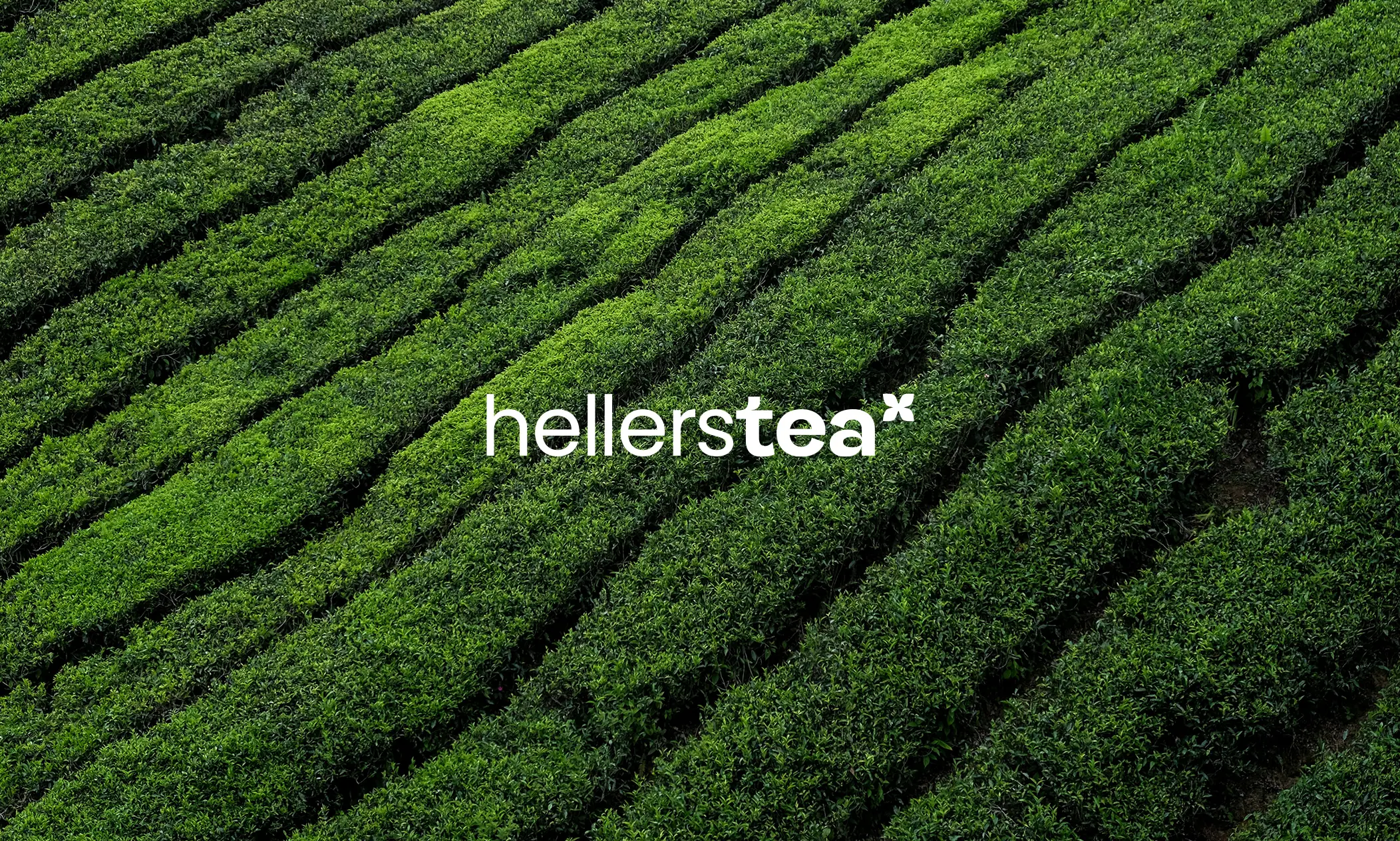 Der Schlüssel zur starken Marke